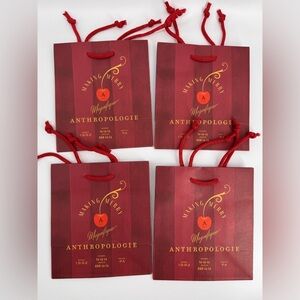 Anthropology Set of 4 Gift Bags